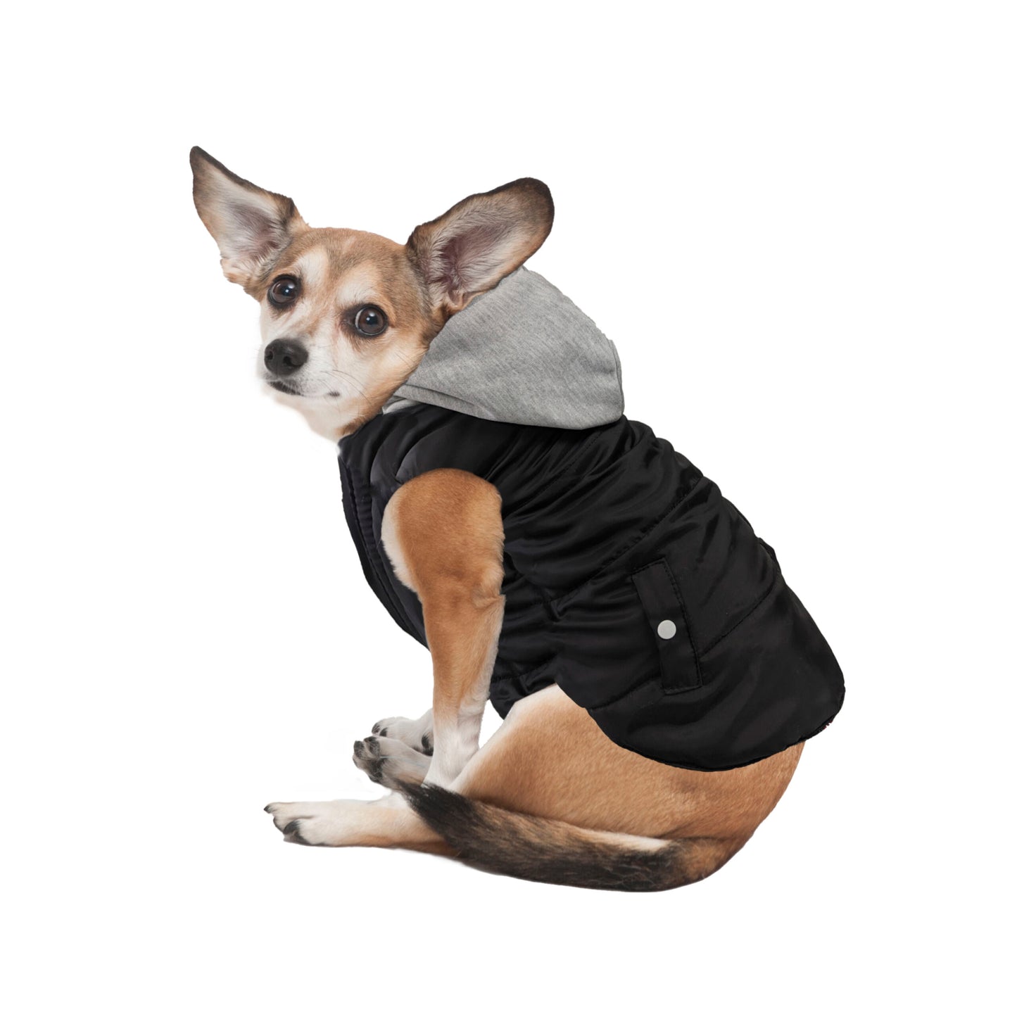 Fashion Pet Reversible Puffer Jacket with Hood