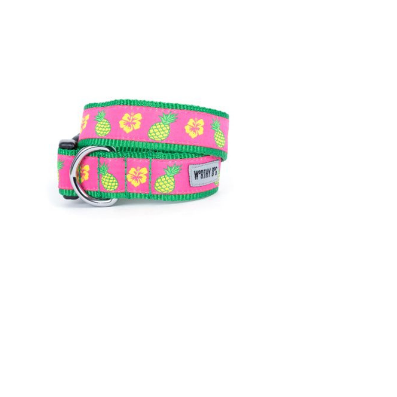 The Worthy Dog Pineapples Collar