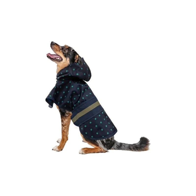 Fashion Pet Dog Raincoat