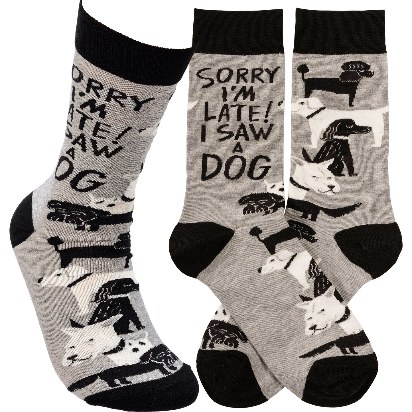 Sorry I'm Late I Saw a Dog Socks