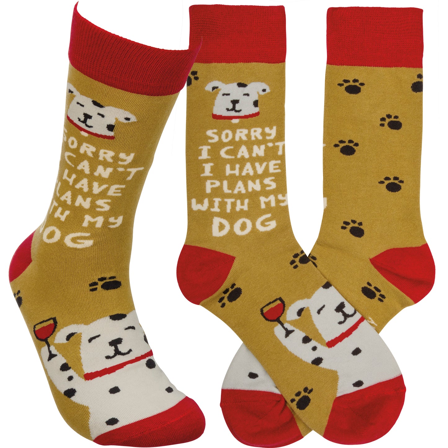 Sorry I Can't I Have Plans with My Dog Socks