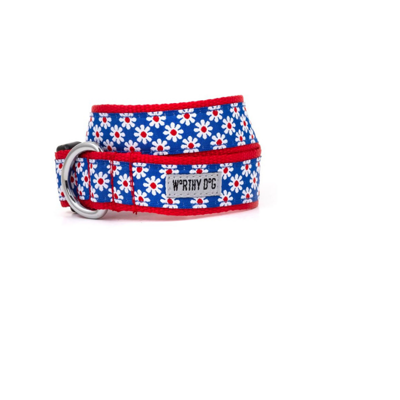 The Worthy Dog Daisies Collar