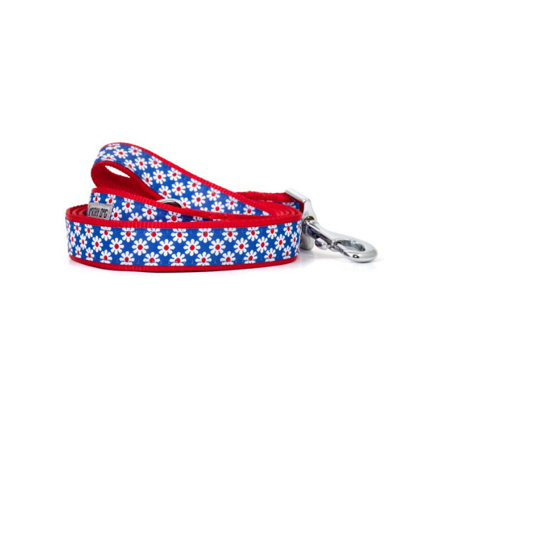 The Worthy Dog Daisies Collar