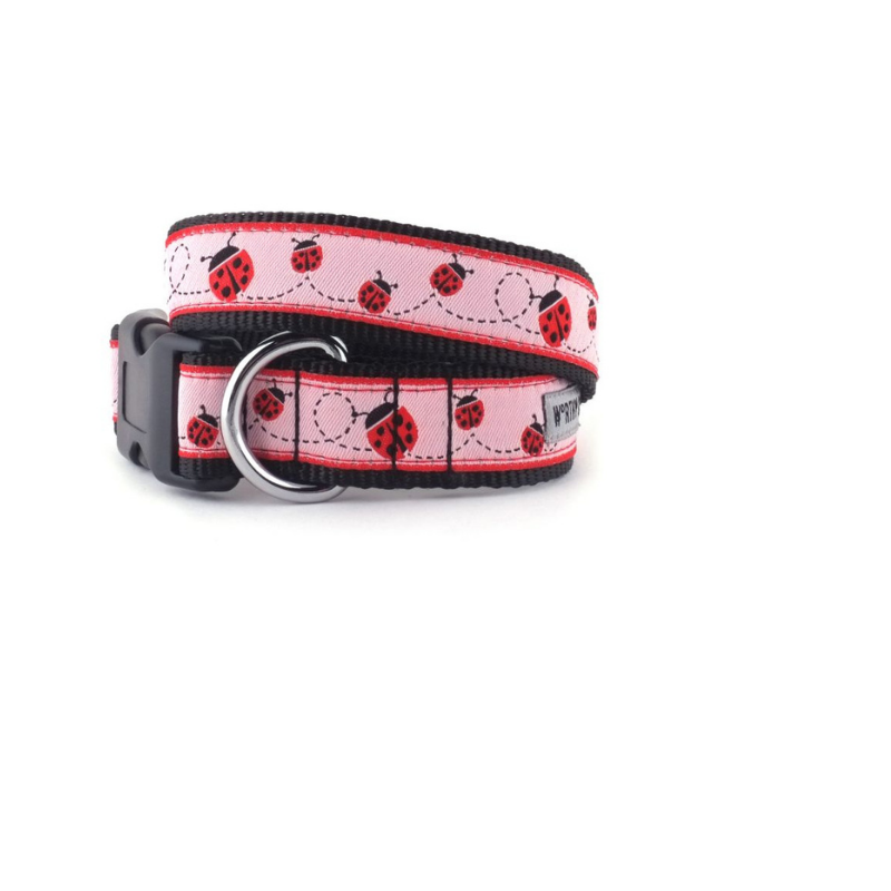 The Worthy Dog Ladybugs Collar
