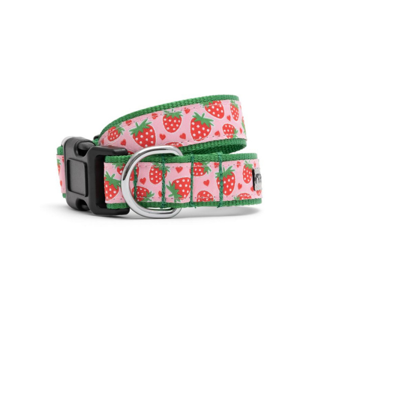 The Worthy Dog Strawberries Collar